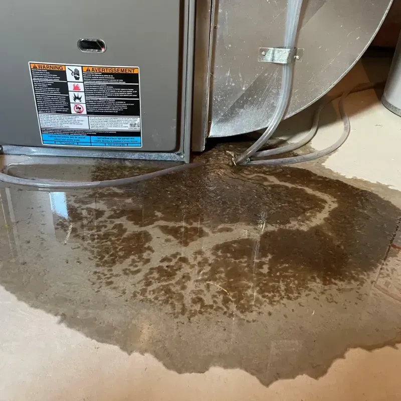 Appliance Leak Cleanup in Cameron County, TX